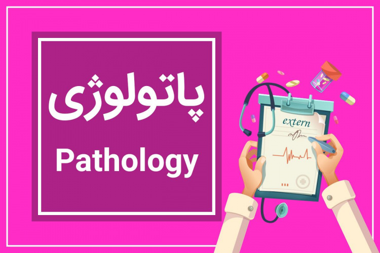 تبریک رئیس دانشگاه علوم پزشکی اراک به "پاتولوژیست ها"